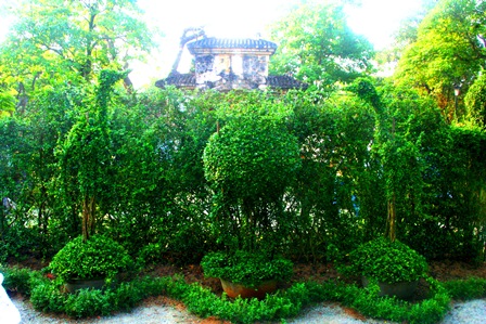 Cây cảnh quý 3 miền hội tụ tại vườn Thượng uyển Huế xưa