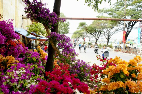 Nét xuân chợ hoa trên bến sông Sài Gòn